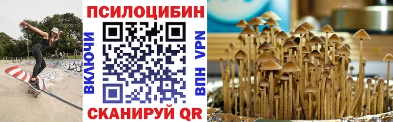 Псилоцибиновые грибы ЛСД  где продают наркотики  mega как войти  Нягань 